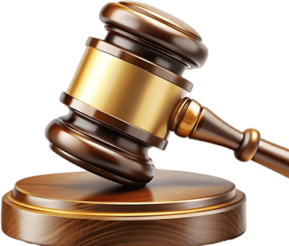 Şekil Görüntüsü